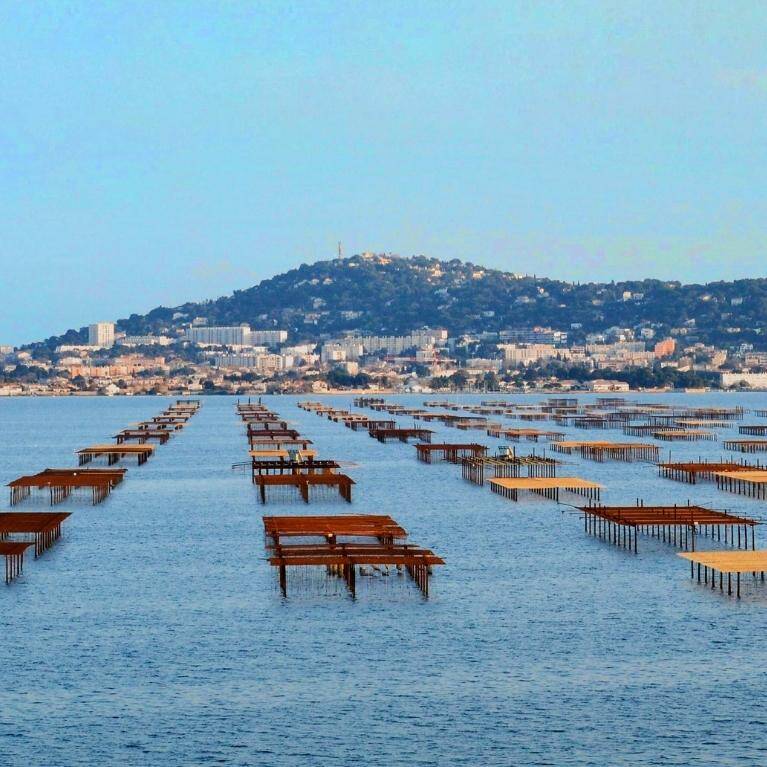 Camping Sète